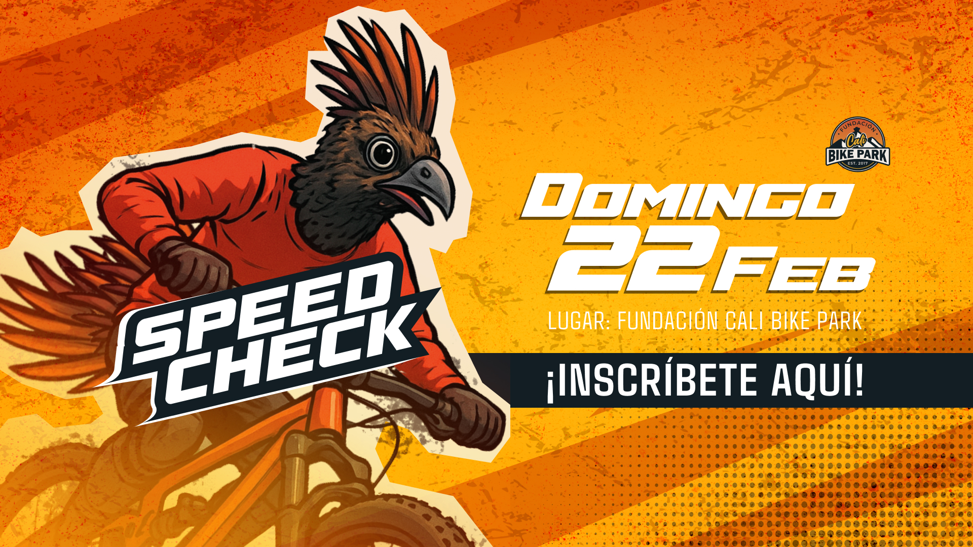 Speed Check